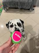 Kazoo Pet Co Puncture Proof Tennis Ball Review