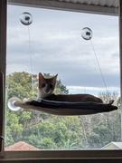 Kazoo Pet Co The Lookout Window Cat Bed Review