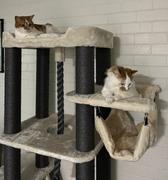 Kazoo Pet Co Kitty Climb Playground - Cream & Charcoal Review