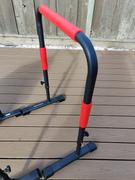 Ofitsports Sportsroyals Dip Parallel Bars Review