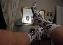 Sox & Jox Cat Dad Socks Review