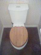 Riverbend Home H2Option Dual Flush Elongated 2-Piece Toilet 1.28 GPF Review