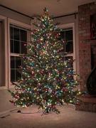 Riverbend Home 7.5-Ft. Foxtail Pine Christmas Tree Review