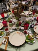 Riverbend Home Diamond 13 oz Ruby Acrylic All-Purpose Goblets Set of 8 Review