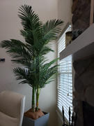Riverbend Home 6.5' Faux Golden Cane Palm Tree with 333 Leaves Review