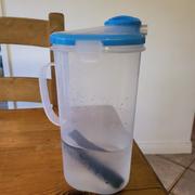 The Kind Charcoal Water Filter Review