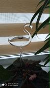 Still Serenity Self Watering Glass Bird Review