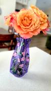 Modgy John J. Audubon Hummingbird Vase Review