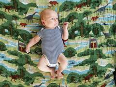 Little Unicorn LU + Jurassic World Cotton Muslin Swaddle Blanket Set - Jurassic World Review