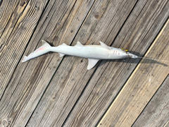 Arkie Lures Pro Model Hineee Review