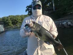 Arkie Lures Jerk & Stick Bait Heads Review