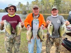 Arkie Lures Pro-Model Curl Tail Minnows Review