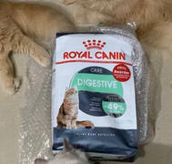 Petsy Royal Canin Digestive Care Adult Dry Cat Food Review