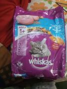 Petsy Whiskas Dry Cat Food (Adult) - Ocean Fish Review