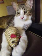 Petsy Trixie Cat Toys - Sisal Mouse Review