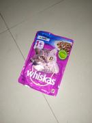 Petsy Whiskas Dry Cat Food (Adult) - One Time Meal Packs - Ocean Fish (50g x 24 Packs) Review