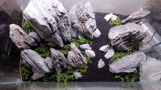 East Ocean Aquatic TCulture Monte Carlo Review