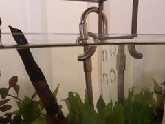 East Ocean Aquatic LitiAquaria Stainless Steel Jet Pipe In/Out Review