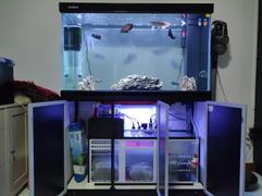 East Ocean Aquatic SUNSUN HLF Aquarium with Cabinet & Sump (1200ID - Black Only) Review