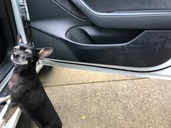 TESBROS Door Kicker Panels Protection - PPF for Model 3 Review
