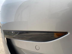 TESBROS Headlight and Foglight Protection - PPF for Model 3 / Y Review