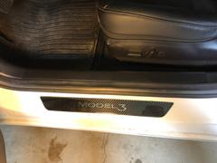 TESBROS Door Entry Protection - PPF for Model 3 Review