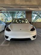 TESBROS Tinted Headlight and Foglight Protection for Model 3 / Y PPF Review