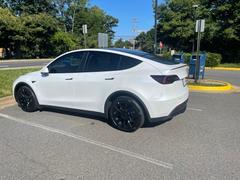 TESBROS Tinted Taillight Protection - PPF for Model 3/Y Review