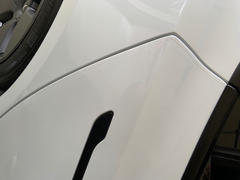 TESBROS Door Edge Guard Protection - PPF for Model S/3/X/Y Review