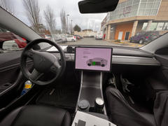 TESBROS Interior Bundle Wrap for Model 3/Y Review