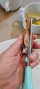 Caught Online Orange Namibian Crab | Wild-caught Review