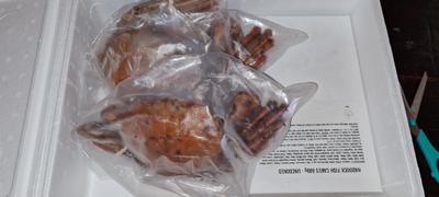 Caught Online Orange Namibian Crab | Wild-caught Review
