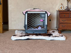 Diggs Pet Revol Dog Crate Review