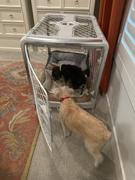 Diggs Pet Revol Dog Crate Review