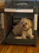 Diggs Pet Refurbished Revol Dog Crate Review