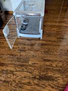 Diggs Pet Revol Bowl Clip Review