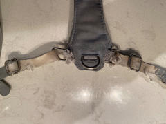 Diggs Pet Classic Harness Review