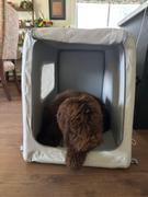 Diggs Pet Enventur Travel Kennel Review