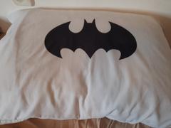  פנדה הום כרית פנדה היברידית Review