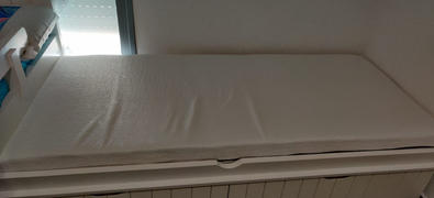  פנדה הום מזרן פנדה ג'וניור Review