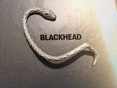 BLACKHEAD Jewelry Empty Town-kelpie Snake Necklace Review