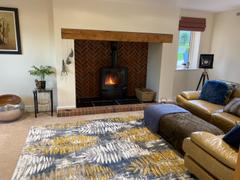 Home Looks Paris Leaf Rug Review