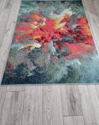 Home Looks Amsterdam Paradise Design Rug Review