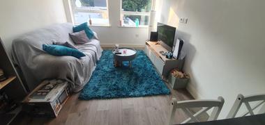 Home Looks Lily Shimmer Turquoise Shaggy Rug Review