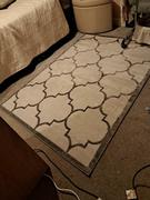 Home Looks Trendy Border Trellis Rug V3 Review