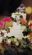 LilyCraft Modern LED Wedding Cake topper - Engraved Acrylic Review