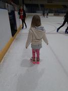 WILLIES | Ice Hockey - Inline Hockey - Figure Skating A&R Bob Skates Review