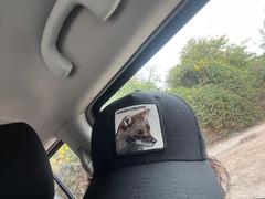 Wild Lama Jockey Zorro Chilote Ripstop Algodón Orgánico Negro Review