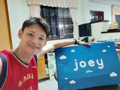 Joey Mattress The Joey Pillow Review