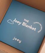 Joey Mattress The Joey Blanket Review